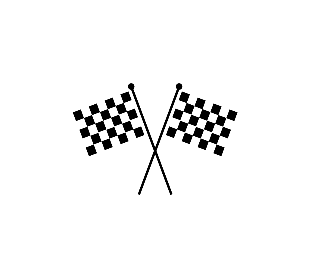 The Checkered Flag Store logo